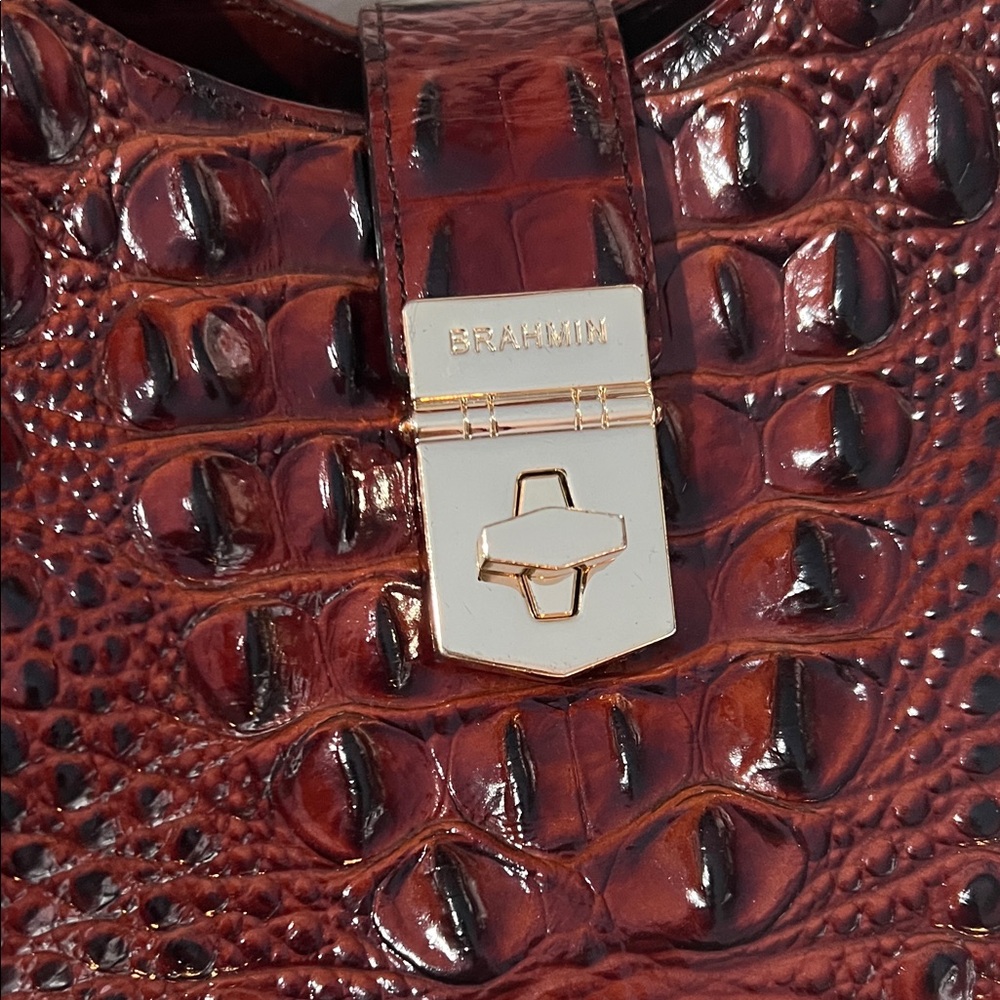 Brahmin Elisa in pecan Melbourne EUC - Picture 2 of 11